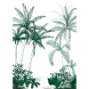 Rainforest Green Palm Trees