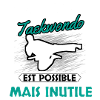 Taekwondo