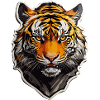 Lion Face