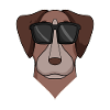 Pointer Hund mit Brille - cooler Hund
