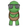 Tortue à lunettes