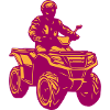 quad ATV quadricycle