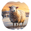 Schaf in Winterlandschaft