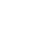 snowflake with natural shapes