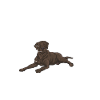 Chien Labrador Retriever chocolat