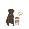 Chien Labrador Retriever chocolat