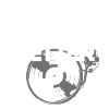 Disque vinyle collection DJ cadeau
