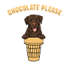 Chocolate Labrador Retriever Dog
