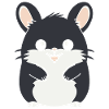 Cute little chinchilla