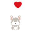Petit chinchilla mignon