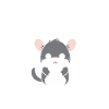 Petit chinchilla mignon