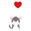 Petit chinchilla mignon