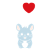 Petit chinchilla mignon