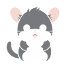 Petit chinchilla mignon