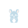 Petit chinchilla mignon