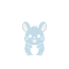 Petit chinchilla mignon