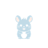 Petit chinchilla mignon
