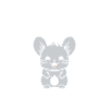 Petit chinchilla mignon