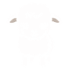 Baby Sheep Little Ewe