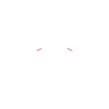 Bébé mouton petit brebis