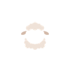 Bébé mouton petit brebis