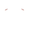 Baby Sheep Little Ewe