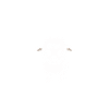 Bébé mouton petit brebis