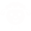 Baby Sheep Little Ewe