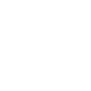 Édition limitée 1981