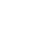 Limited Edition 1984