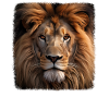 Lions realistic lion