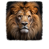 Lions realistic lion