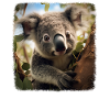 Koalas realistic Koala