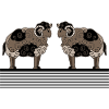 Rams