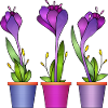 Blumen