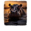 Hippos realistic Hippo