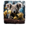 Koalas realistic Koala