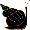 Snail