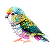 Budgie Bird Bird Owner Cockatiel
