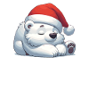 Weihnachtsmütze Weihnachten Lichterkette