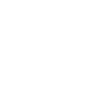 Alpaca funny Alpacas