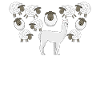 Alpaca and Sheep Family