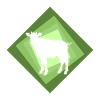 Cow Milk Cows