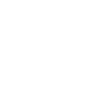 2009