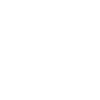 Perroquets Oiseau Blanc