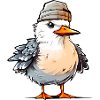 Cool seagull with hat