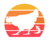 Funny Guess What? Chicken Butt!
