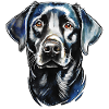 Labrador Retriever Portrait