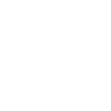 Perroquets Oiseau Blanc