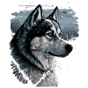 Husky Dog